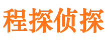 光泽侦探公司